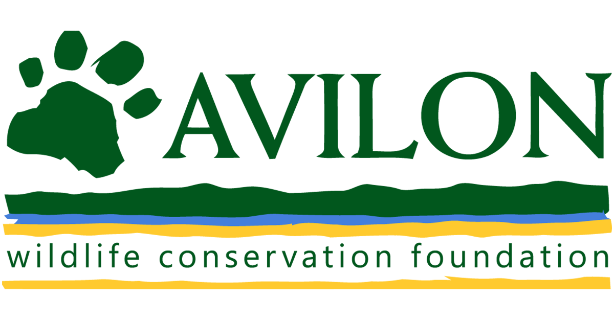 Avilon Zoo