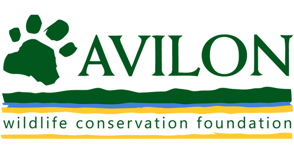 Avilon Zoo