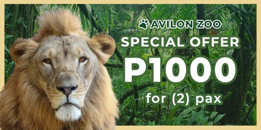 2 pax promo for 1000