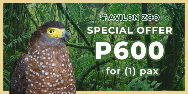 1 pax promo for 600
